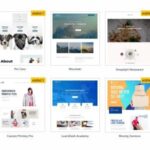 Astra Starter Templates Premium 4.4.17